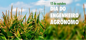 Sintap/MT homenageia Engenheiros Agrônomos pelo seu dia