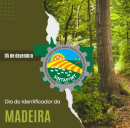 Diretoria do Sintap/MT parabeniza o Dia do Identificador da Madeira e homenageia João Magalhães que iniciou essa atividade em Mato Grosso