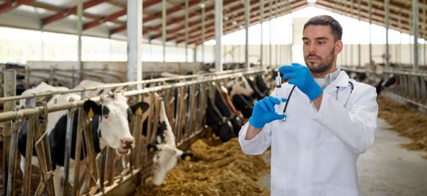 Dia do médico veterinário – Sintap/MT presta homenagem a servidores que atuam no Indea