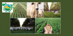 Sintap-MT parabeniza os servidores do Sistema Agrícola, Agrário, Pecuário e Florestal pelo Dia Primeiro de Maio