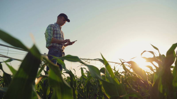 Sintap/MT parabeniza profissionais pelo Dia do Engenheiro Agrônomo