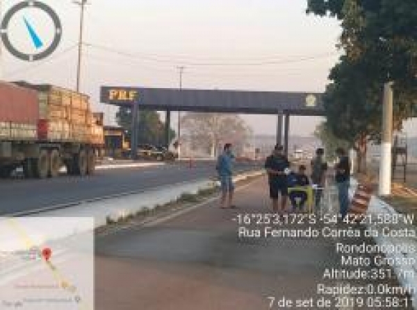 Fiscais do Indea em conjunto com PRF apreendem carga de madeira totalmente proibida em Rondonópolis