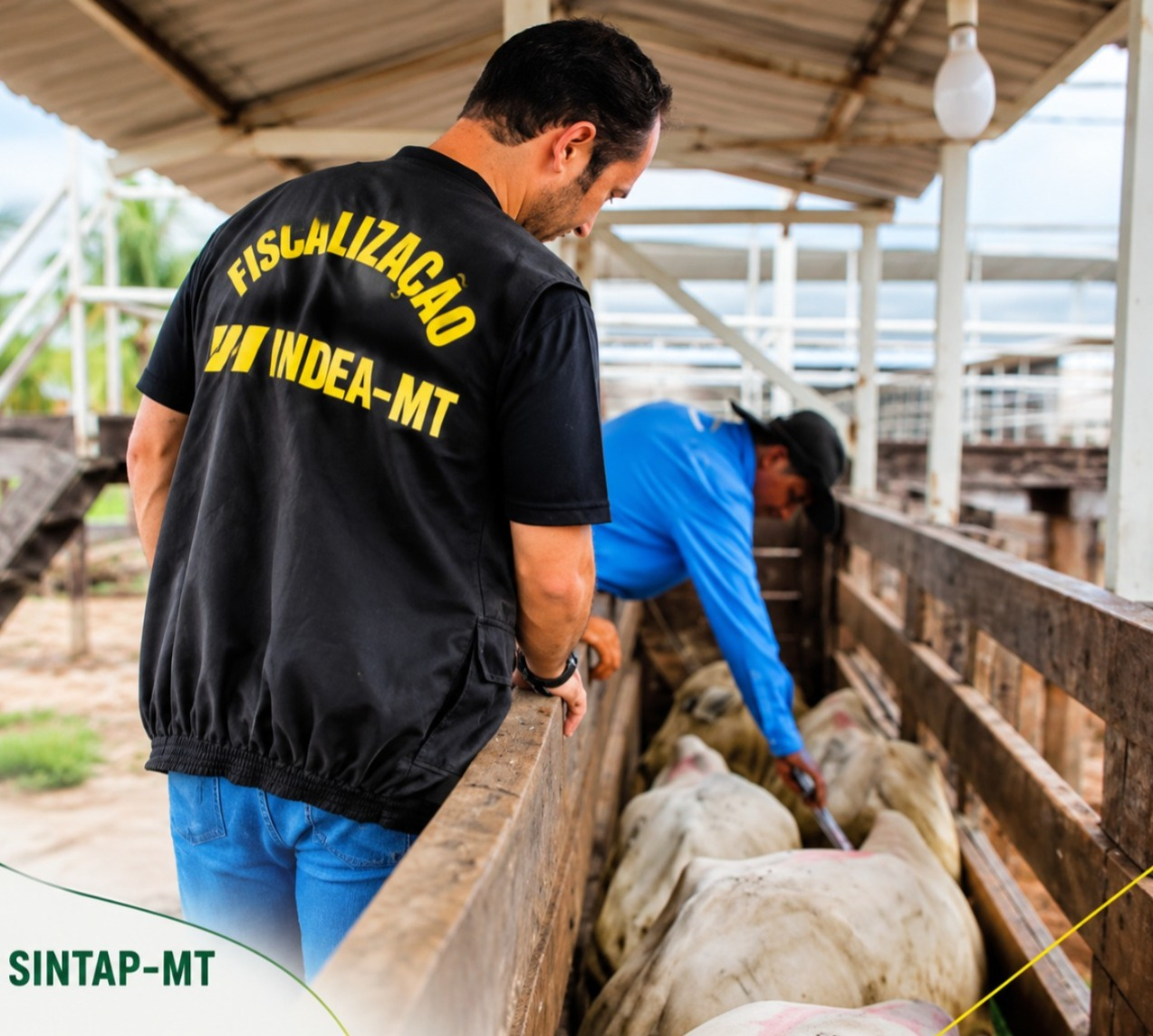 ISINTAP-MT homenageia veterinários do INDEA-MT pelo trabalho em defesa da saúde e da produção