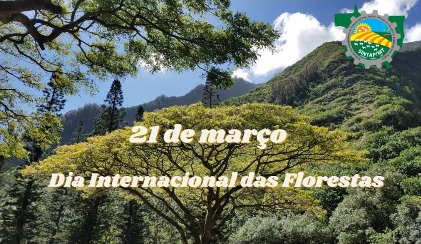 IDia 21 de março....Dia Internacional das Florestas