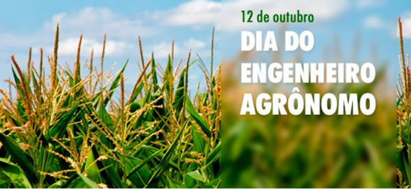 ISintap-MT valoriza engenheiros agrônomos que contribuem para o desenvolvimento de Mato Grosso