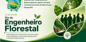 Dia do Engenheiro Florestal: Sintap-MT destaca atuação de profissionais essenciais para a conservação ambiental