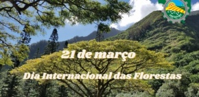 Dia 21 de março....Dia Internacional das Florestas