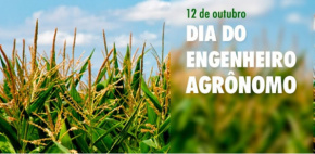 Sintap-MT valoriza engenheiros agrônomos que contribuem para o desenvolvimento de Mato Grosso
