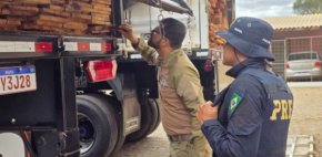 Servidor do Indea-MT se destaca na identificação de madeira e no combate a crimes ambientais